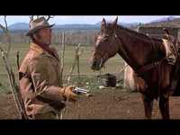 pochette album My first country song