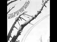 pochette album Down by the water