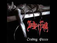 pochette album Born then torn apart