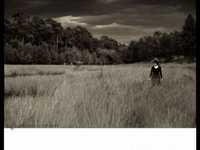 pochette album Contact lost