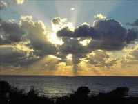 pochette album Never a word