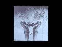 pochette album N. animals