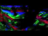 pochette album Strange lights