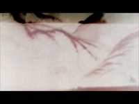 pochette album Vhs dream