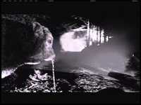 pochette album Tonight