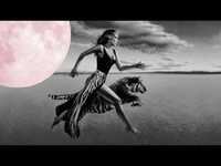 pochette album Feline