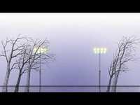 pochette album While we re young