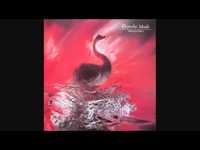 pochette album Big muff