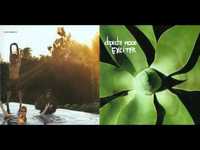 pochette album Easy tiger