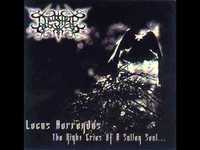 pochette album Chapter xi: the weep of a mournful dusk