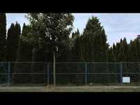 pochette album Girl in a sling