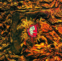 pochette album Morticiachair