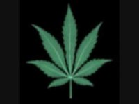 pochette album Finally