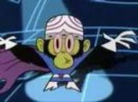 pochette album Go monkey go