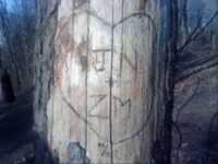 pochette album Darling