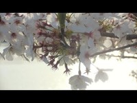 pochette album Isn't this a lovely day