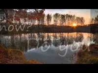 pochette album Do you know where you're going