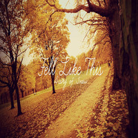 pochette album Fell like this