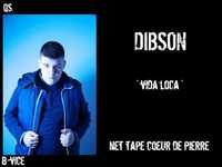 pochette album Vida loca