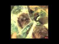 pochette album Adieu princesse