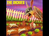 pochette album Solitary confinement