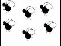 pochette album Die fliege