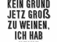 pochette album Lebt wohl & danke sehr