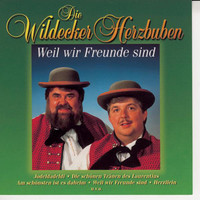 pochette album Scheint die sonne