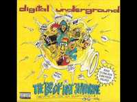 pochette album Humpty dance awards