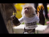 pochette album The hum