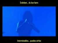 pochette album Raabjorn speiler draugheims skodde