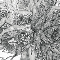 pochette album Kiri to mayu