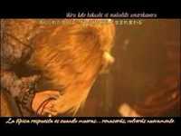 pochette album Mushi