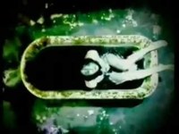 pochette album Zan-english