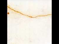 pochette album Epicentre