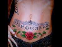 pochette album 40 stories