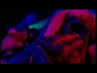 pochette album Dame tu mano