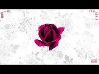 pochette album Rosa remix