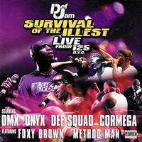 pochette album Ruff ryders anthem