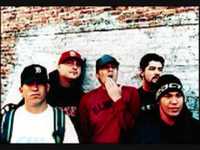 pochette album Belligerent love