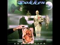 pochette album Convenience store messiah