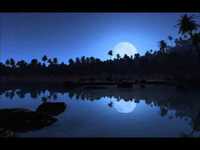 pochette album The moon, the stars, and me