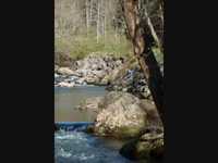 pochette album Wayfaring stranger