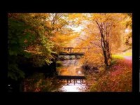 pochette album Caledonia