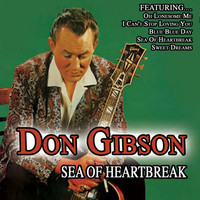 pochette album Take these chains from my heart