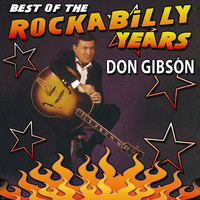 pochette album Why don't you love me