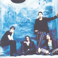 pochette album Riidankylväjä