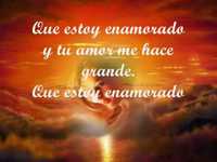 pochette album Estoy enamorado