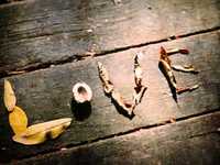 pochette album When love has grown