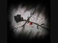 pochette album Black rose